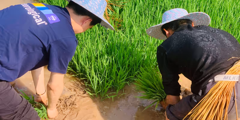 老丈人的三轮车🛺