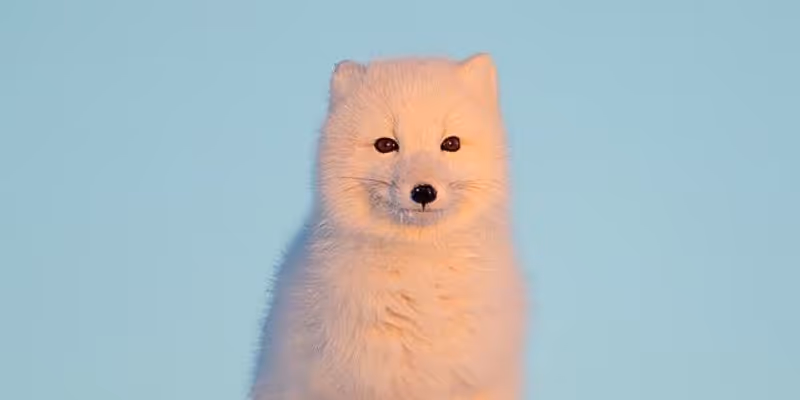 axios 的错误处理